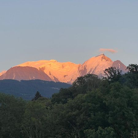 Duplex 3 Chambres Vue Mont-Blanc Domancy 外观 照片