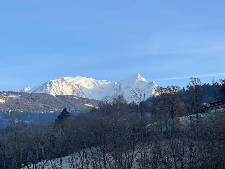 Duplex 3 Chambres Vue Mont-Blanc Domancy 外观 照片