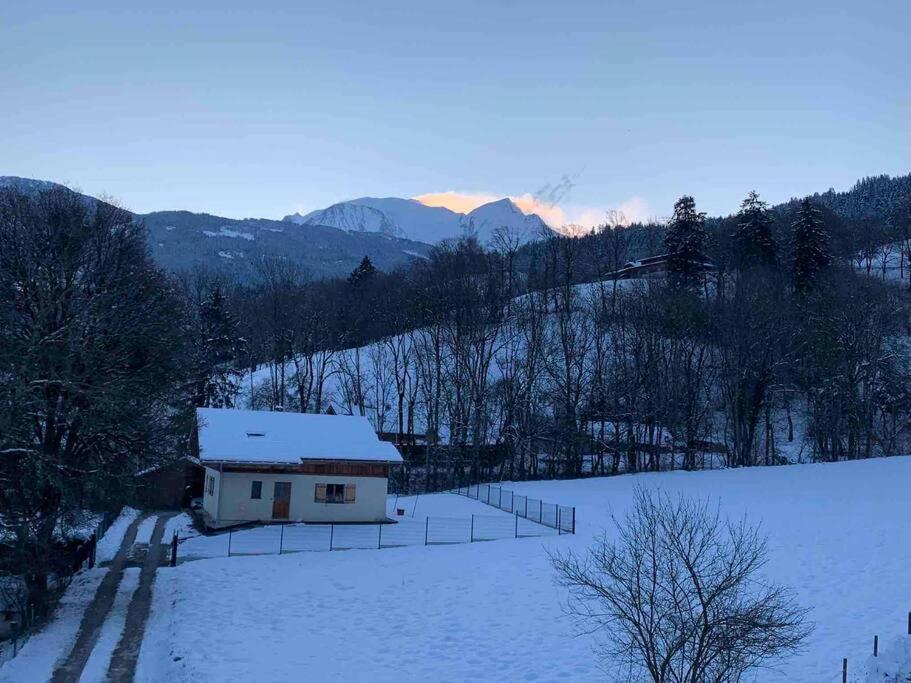 Duplex 3 Chambres Vue Mont-Blanc Domancy 外观 照片
