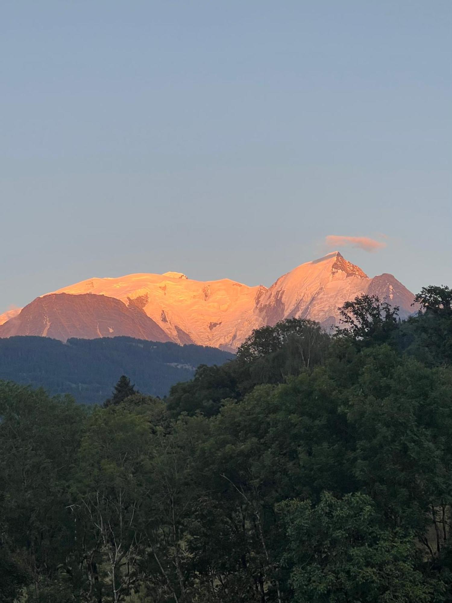 Duplex 3 Chambres Vue Mont-Blanc Domancy 外观 照片