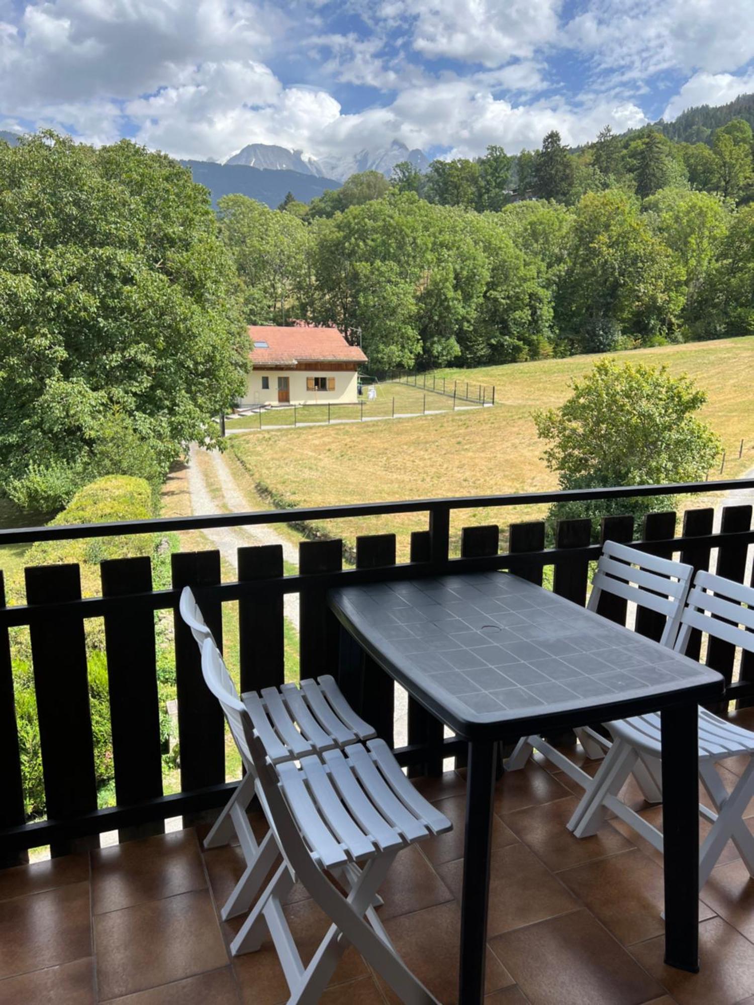 Duplex 3 Chambres Vue Mont-Blanc Domancy 外观 照片