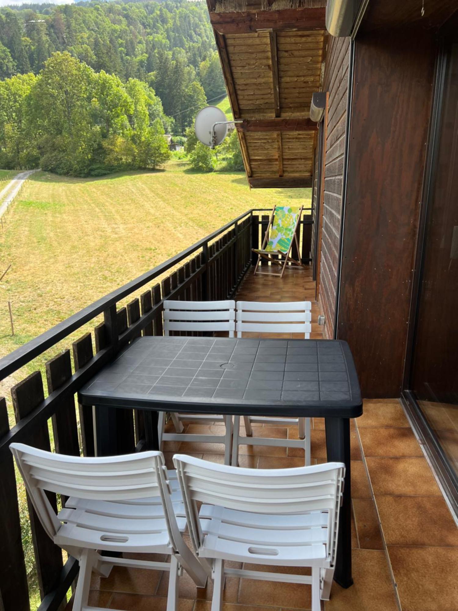 Duplex 3 Chambres Vue Mont-Blanc Domancy 外观 照片